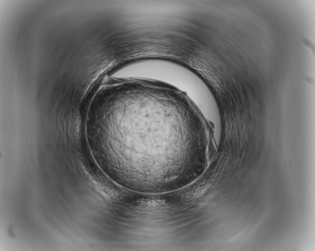 X0000096440304200802071754