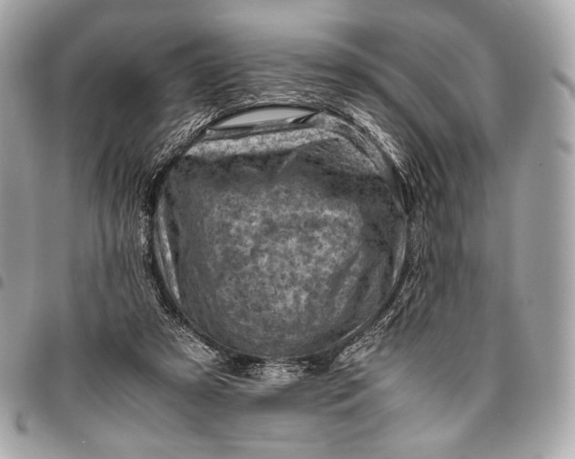 X0000096440305200802071754