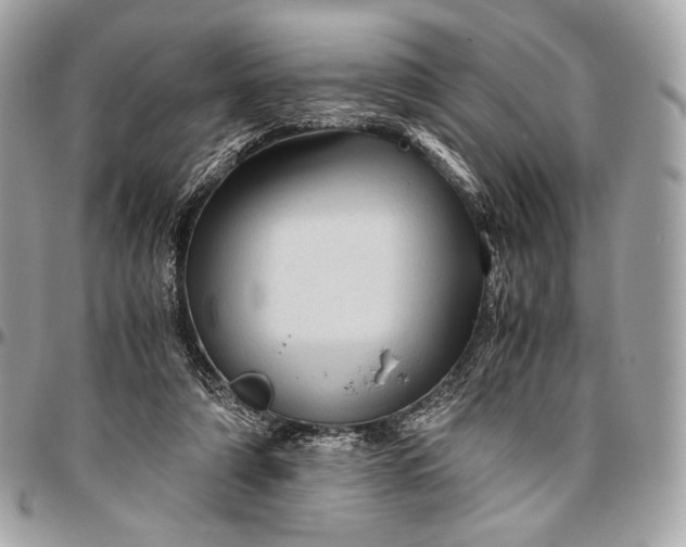 X0000096440306200802071754