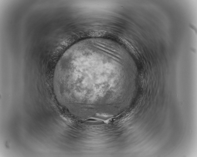 X0000096440307200802071754