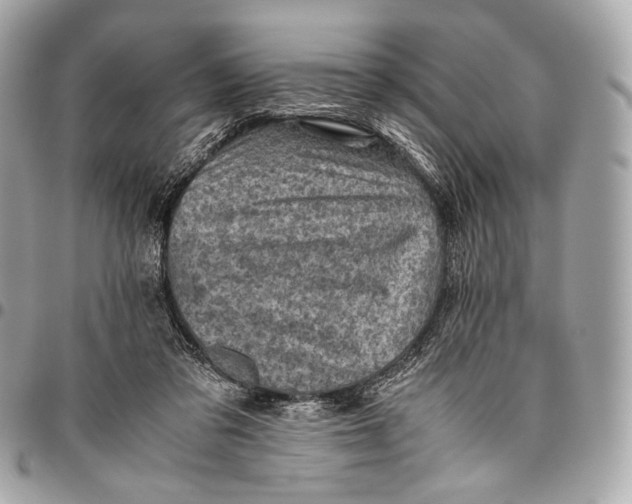 X0000096440309200802071754