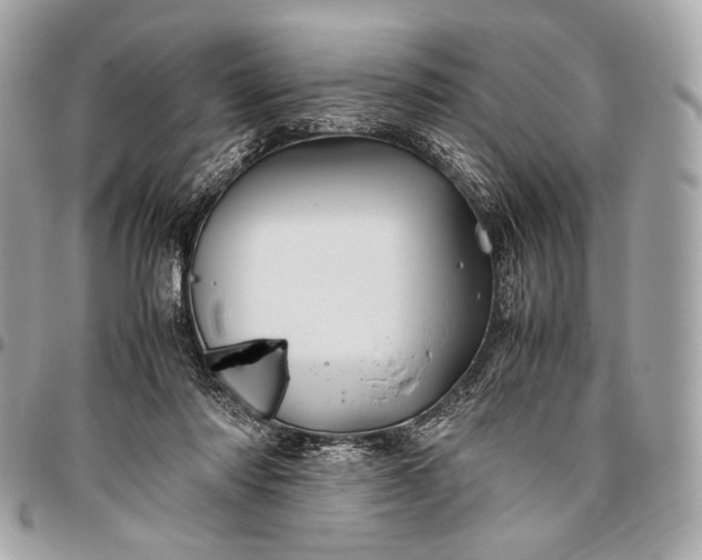 X0000096440310200802071754