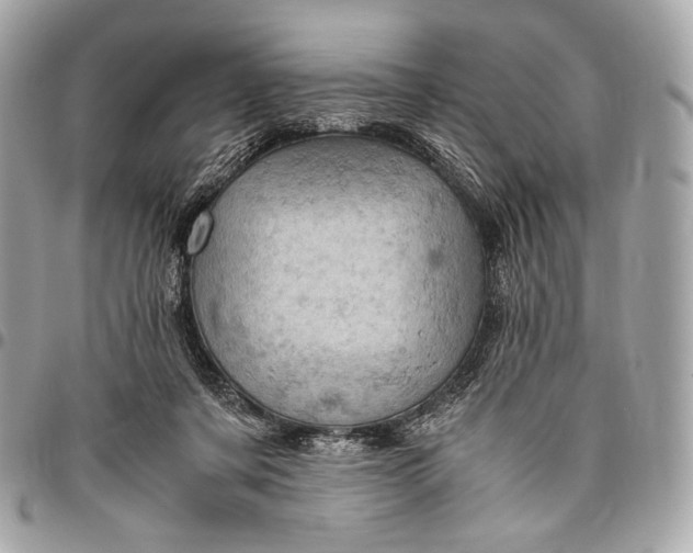 X0000096440311200802071754