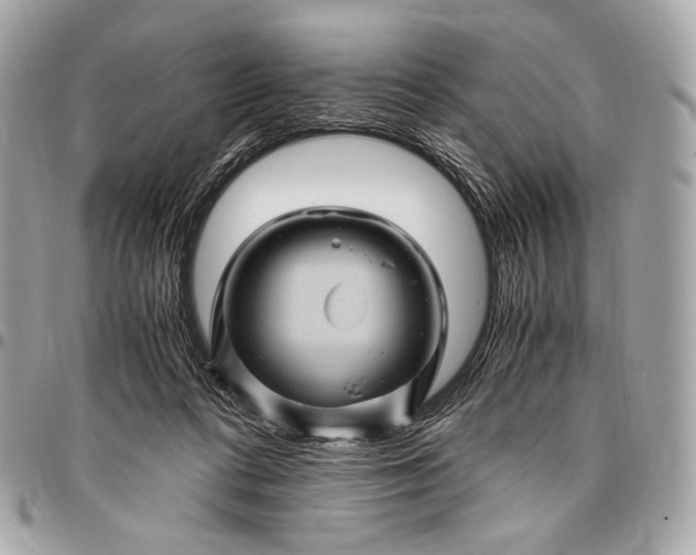 X0000096440312200802071754