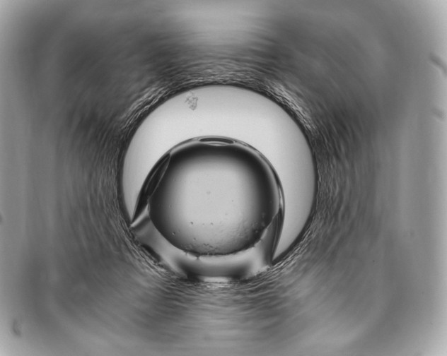 X0000096440313200802071754