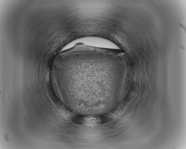 X0000096440315200802071754