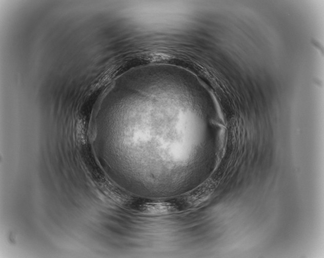 X0000096440316200802071754