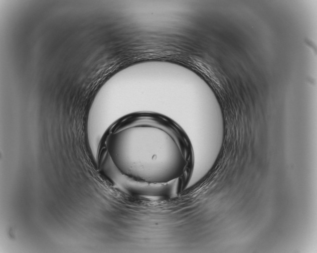 X0000096440317200802071754