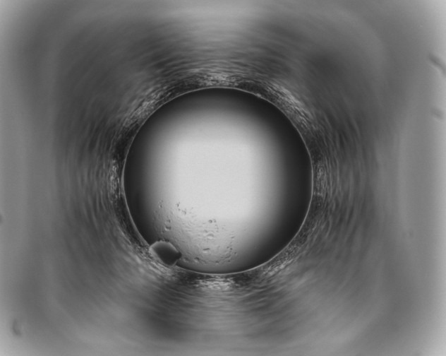 X0000096440318200802071754