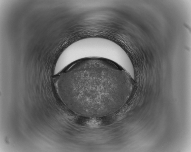 X0000096440319200802071754