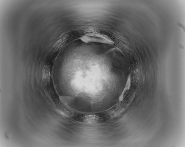 X0000096440320200802071754