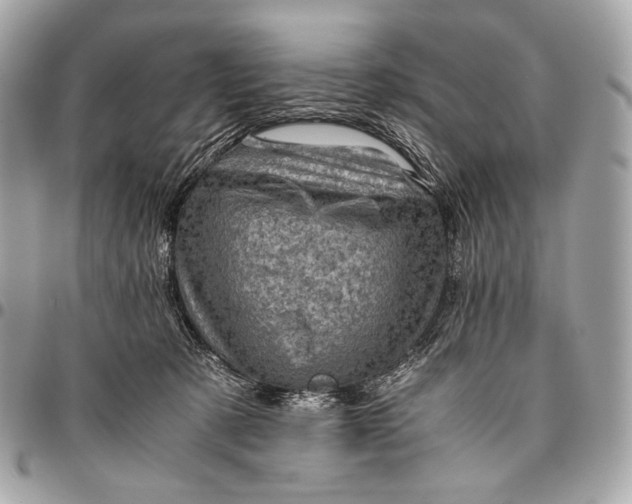 X0000096440321200802071754