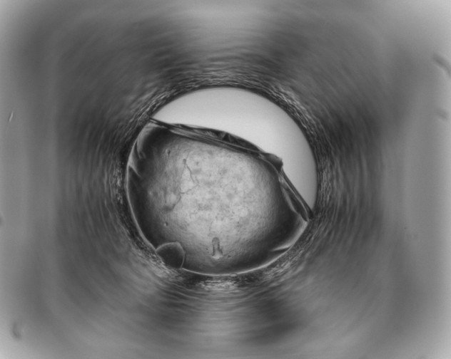 X0000096440322200802071754