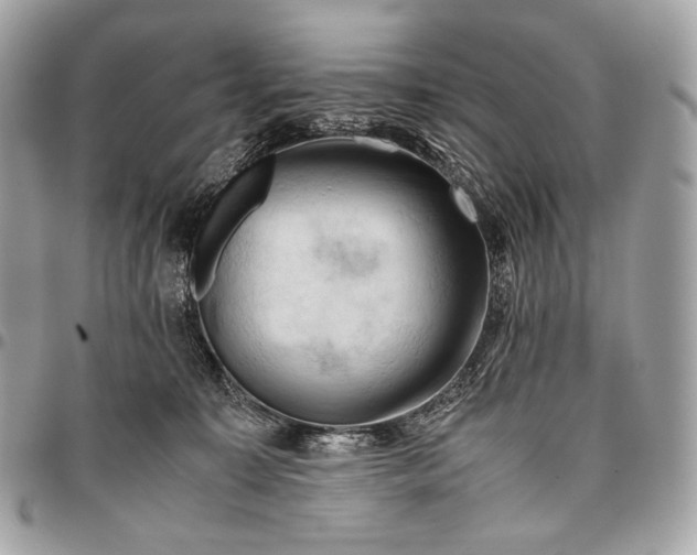 X0000096440323200802071754