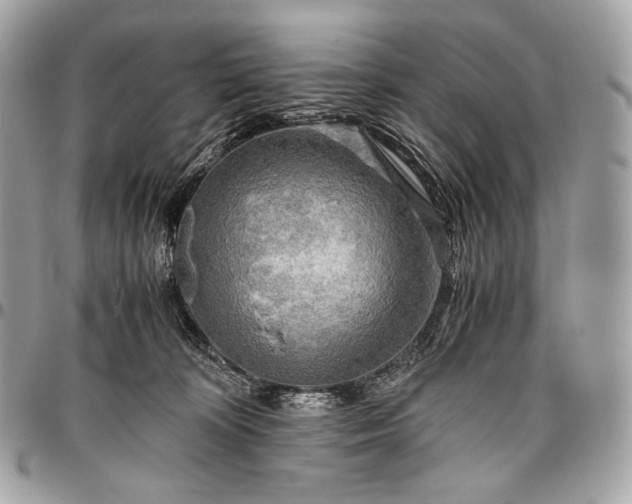 X0000096440324200802071754