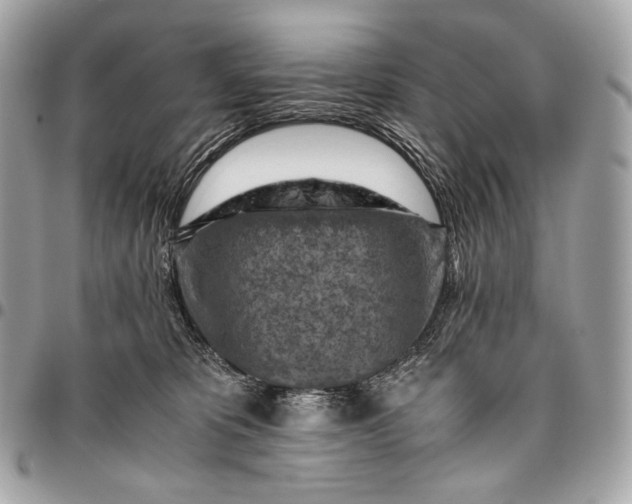 X0000096440325200802071754