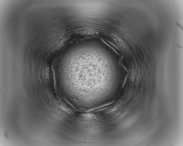 X0000096440326200802071754