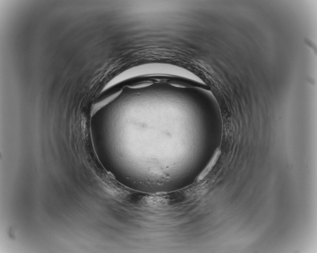 X0000096440327200802071754