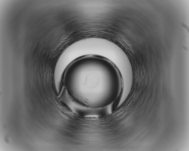 X0000096440328200802071754