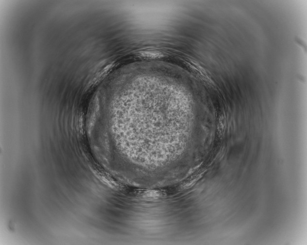 X0000096440330200802071754