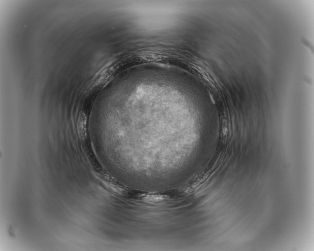 X0000096440332200802071754