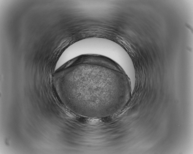 X0000096440333200802071754