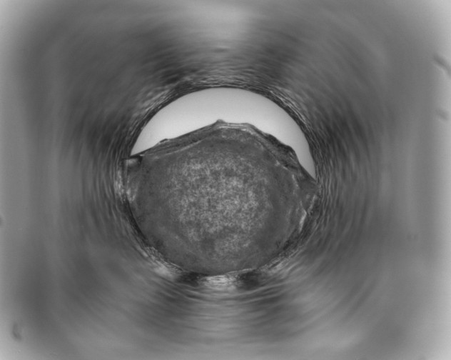 X0000096440335200802071754