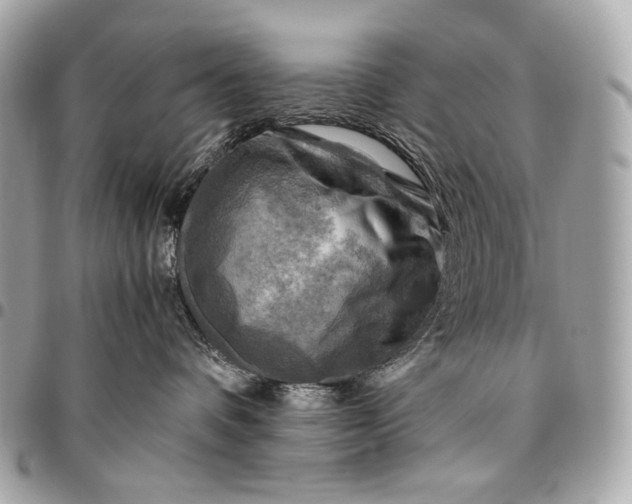 X0000096440336200802071754