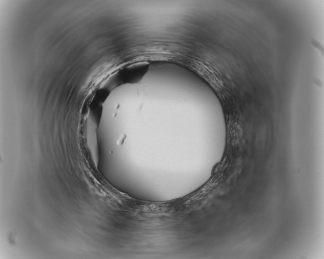 X0000096440338200802071753