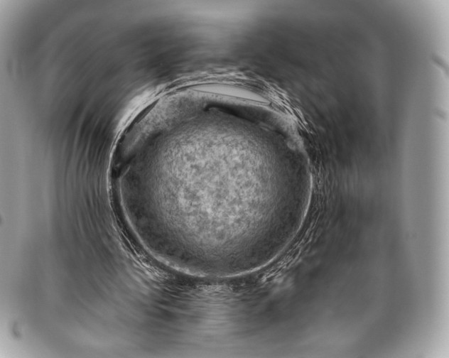 X0000096440340200802071753