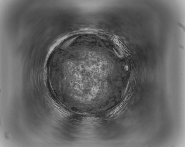 X0000096440342200802071753