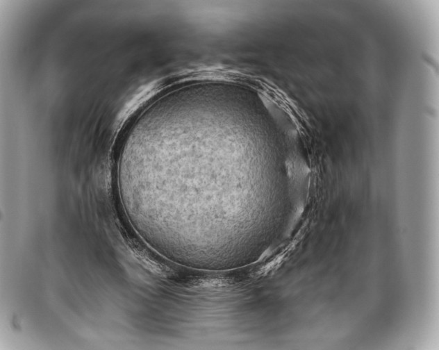 X0000096440344200802071753