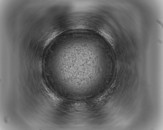 X0000096440345200802071753