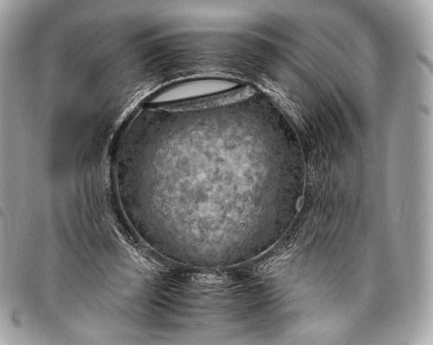 X0000096440347200802071753