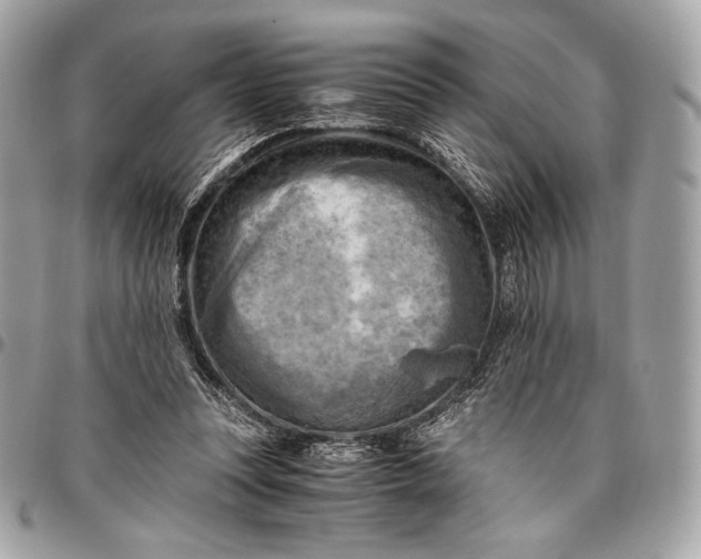 X0000096440351200802071753