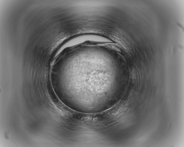 X0000096440352200802071753