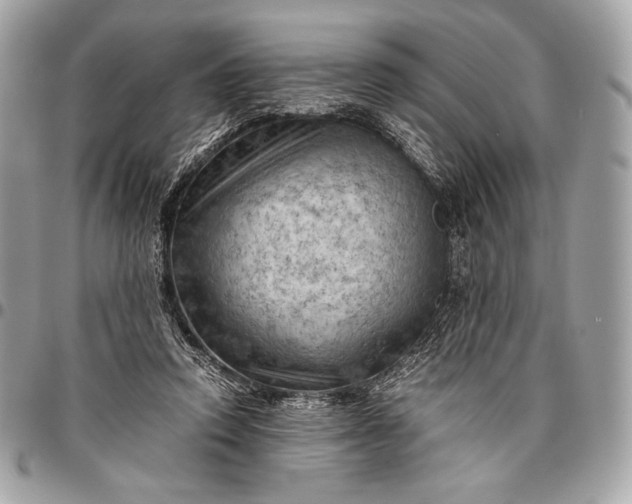 X0000096440354200802071753