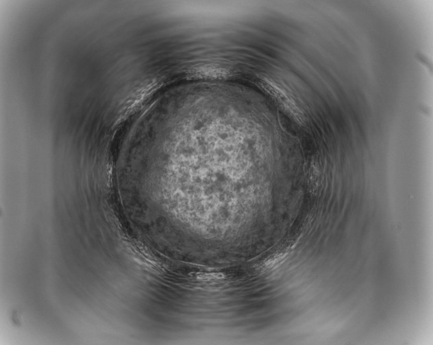 X0000096440355200802071753