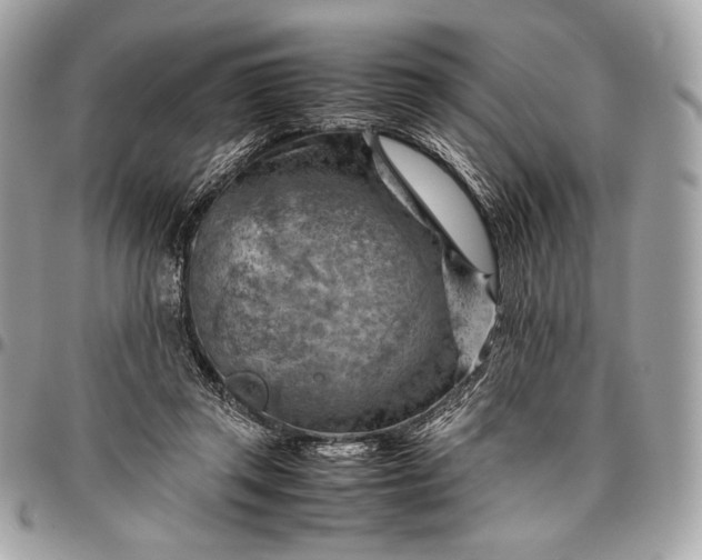 X0000096440357200802071753