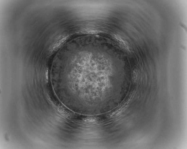 X0000096440358200802071753