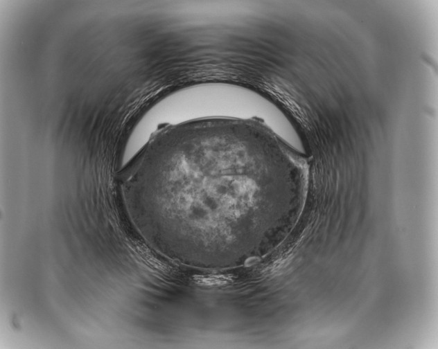 X0000096440359200802071753