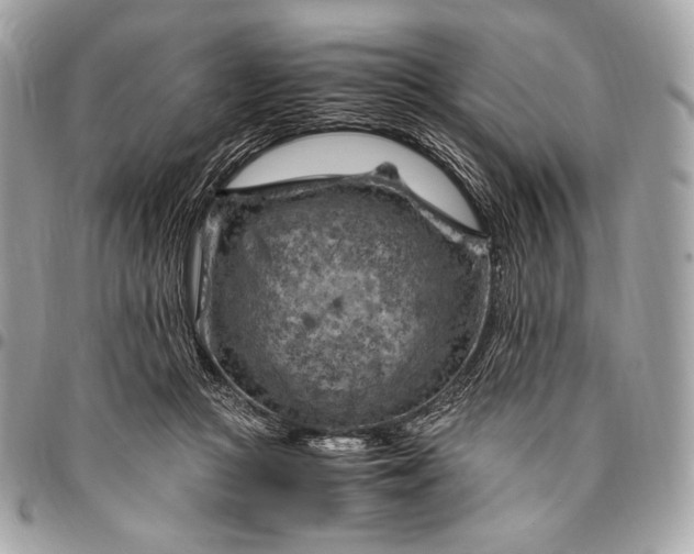 X0000096440361200802071753