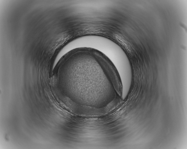 X0000096440362200802071753