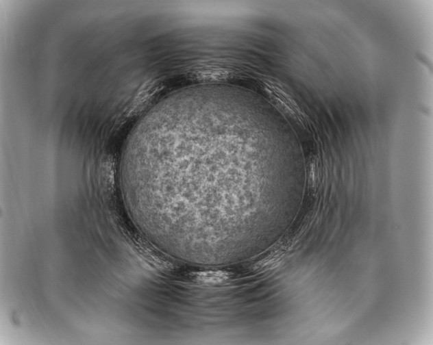 X0000096440363200802071753