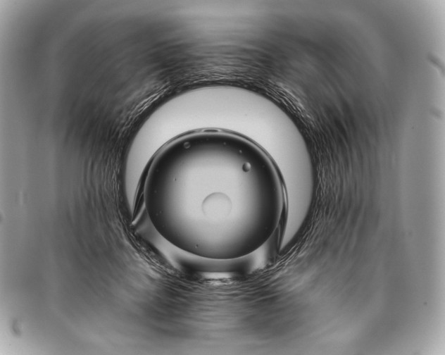 X0000096440364200802071753