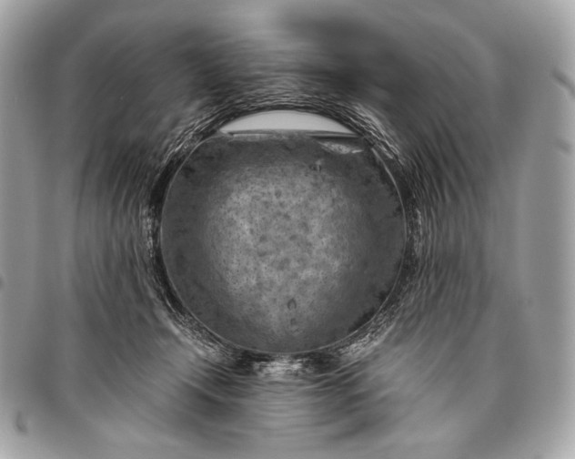 X0000096440366200802071754