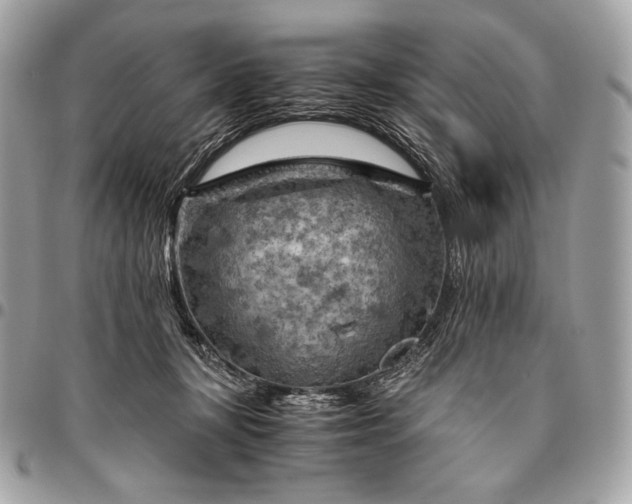 X0000096440367200802071754