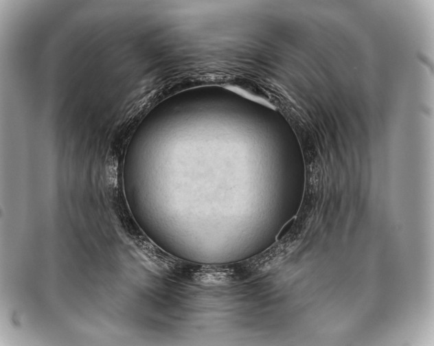 X0000096440368200802071754