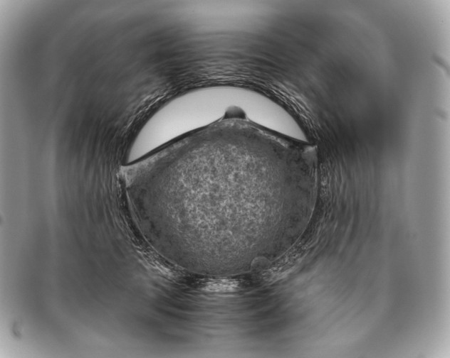 X0000096440369200802071754