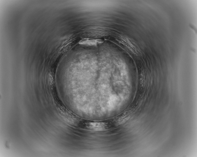 X0000096440371200802071754